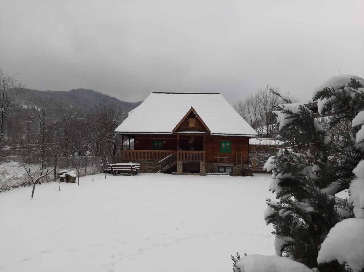 Pajisti Verzi / Green Meadows Guest House Viseu de Sus Exterior photo
