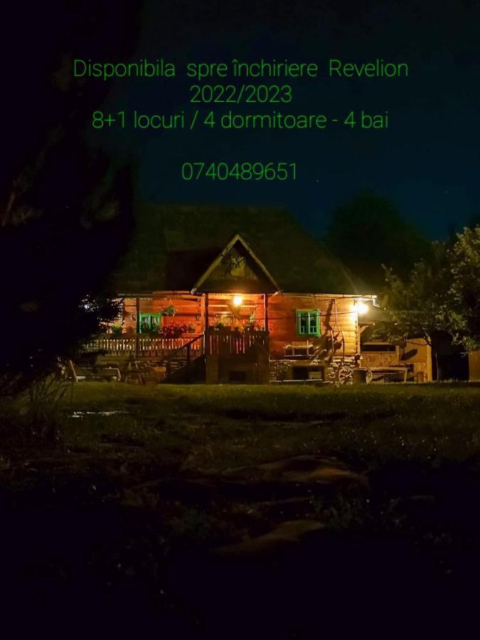 Pajisti Verzi / Green Meadows Guest House Viseu de Sus Exterior photo