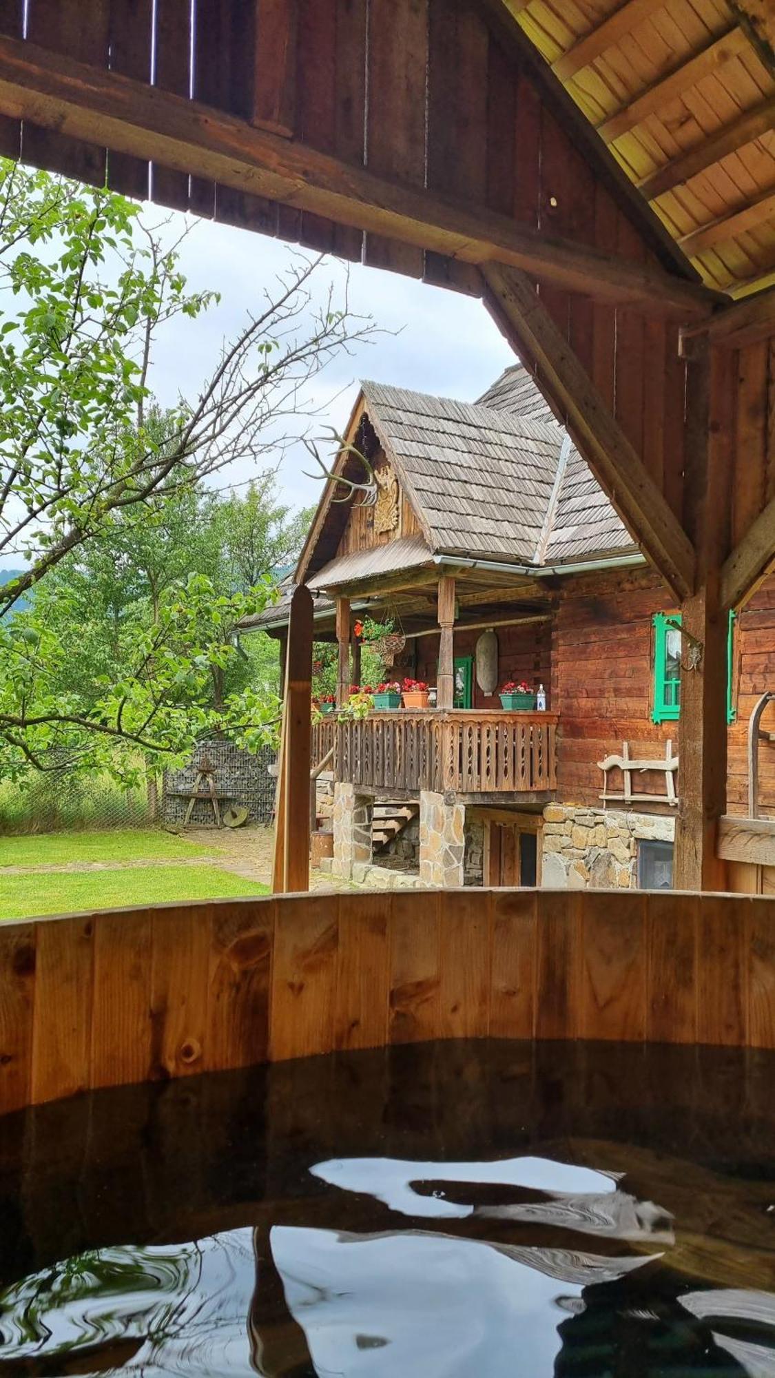 Pajisti Verzi / Green Meadows Guest House Viseu de Sus Exterior photo