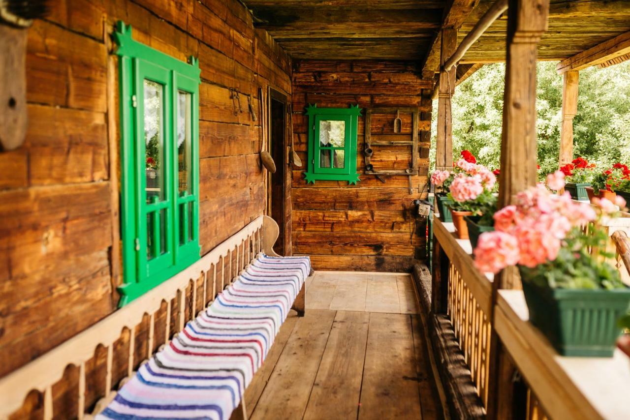 Pajisti Verzi / Green Meadows Guest House Viseu de Sus Exterior photo