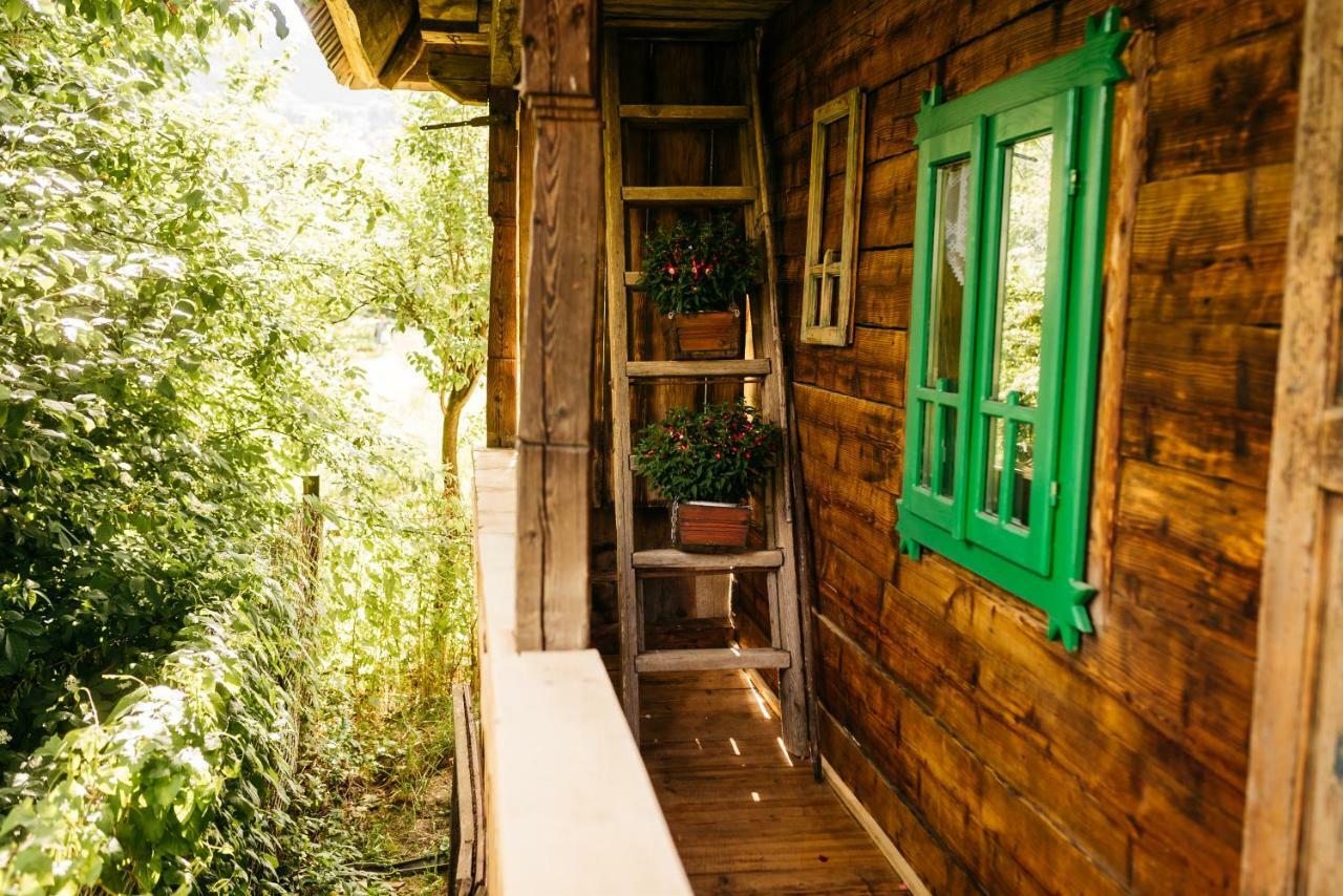 Pajisti Verzi / Green Meadows Guest House Viseu de Sus Exterior photo