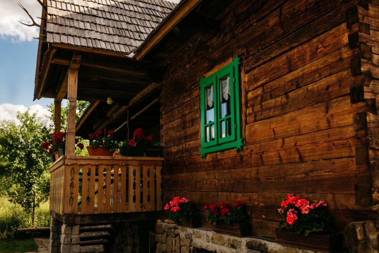 Pajisti Verzi / Green Meadows Guest House Viseu de Sus Exterior photo