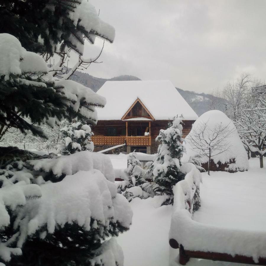 Pajisti Verzi / Green Meadows Guest House Viseu de Sus Exterior photo