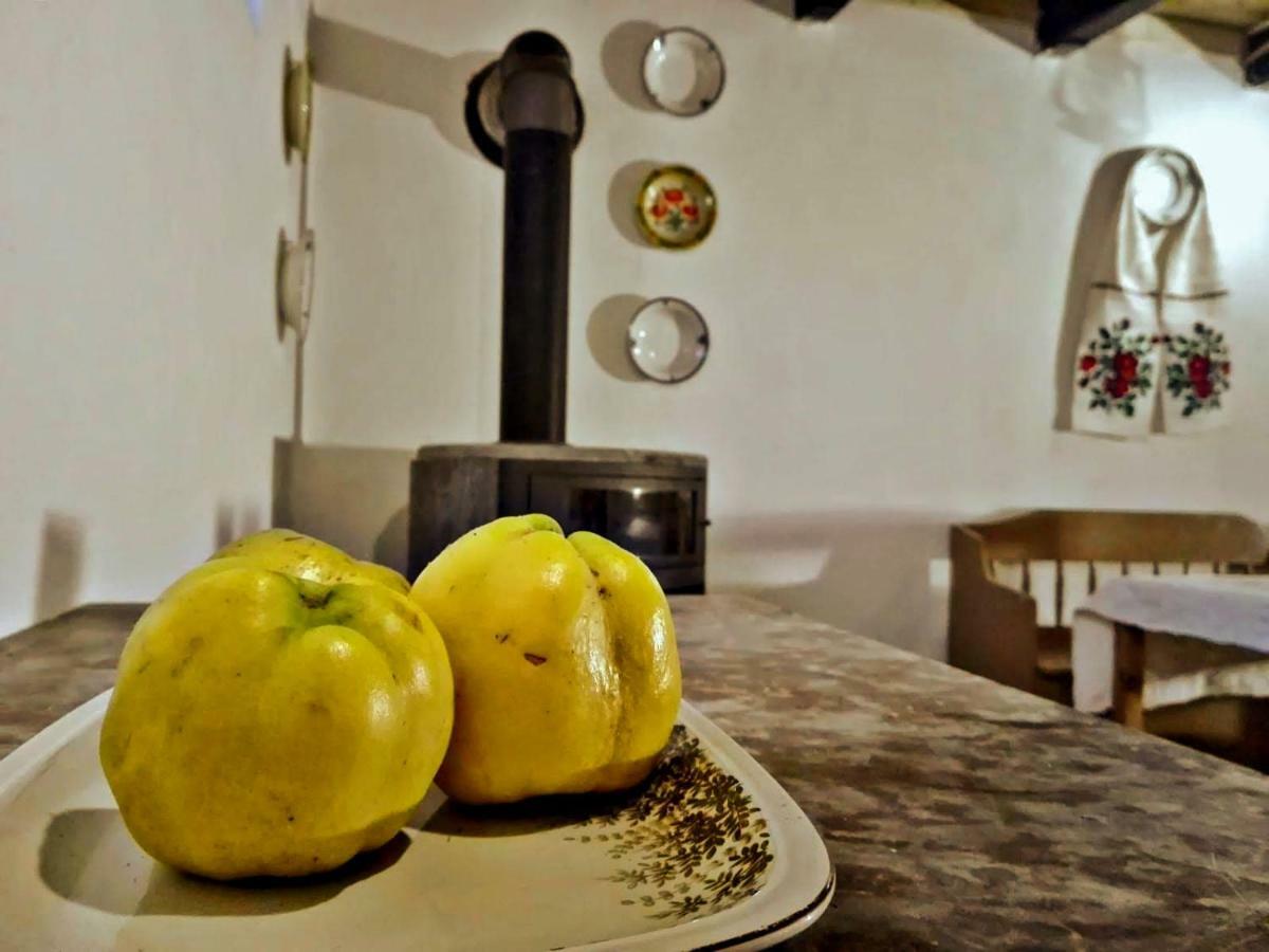 Pajisti Verzi / Green Meadows Guest House Viseu de Sus Exterior photo